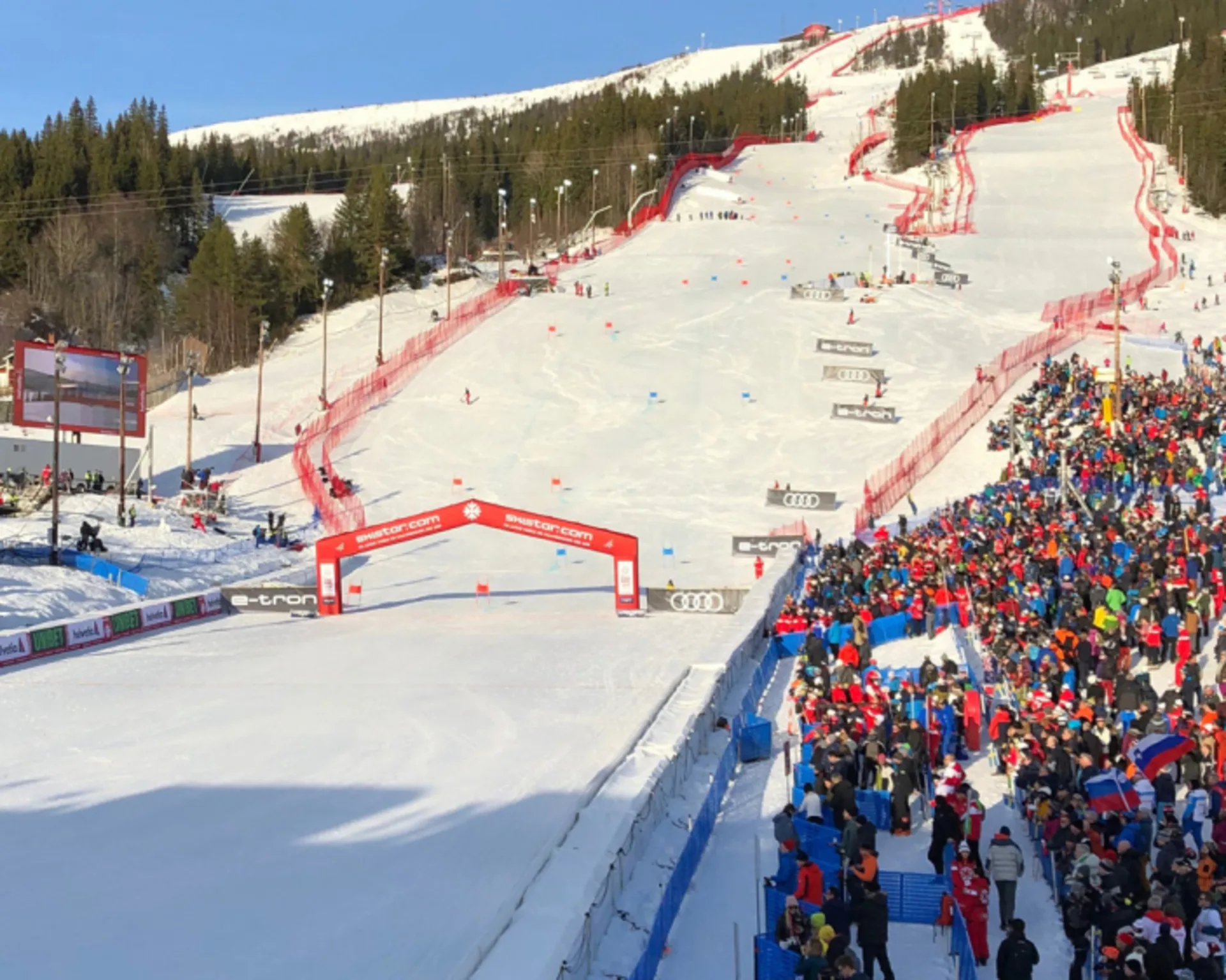 vm-2019-are1-1014x562